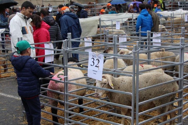 Un moment de la 40a Fira concurs de bestiar celebrada a Andorra la Vella aquest dissabte.
